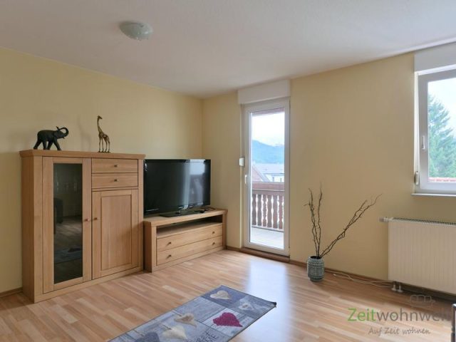Blick zu Schrankwand, TV und Balkon
