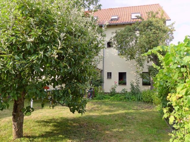 schöner Garten hinter dem Haus