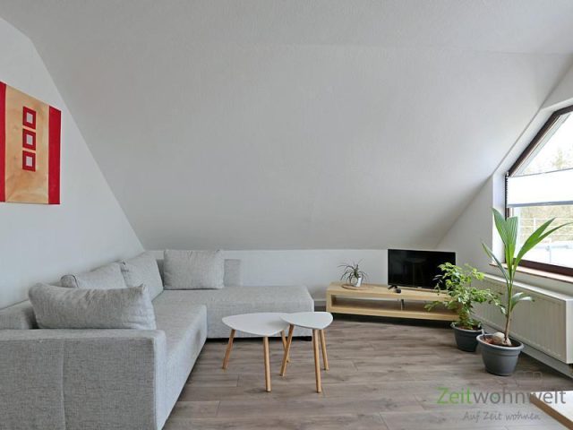 Sofa und TV