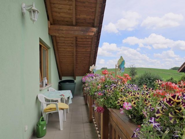 grüner Balkon