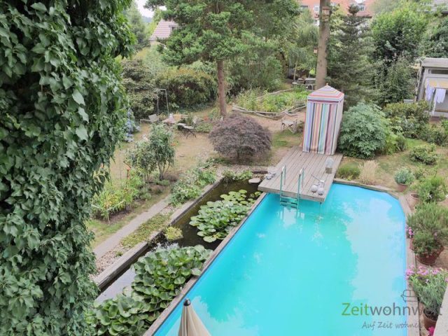 Blick in den Garten