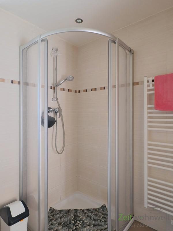 Dusche und Handtuchheizkörper