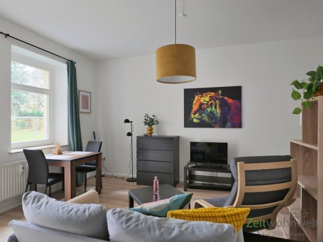 Esstisch und TV