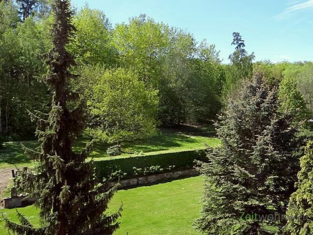 Blick in den Garten