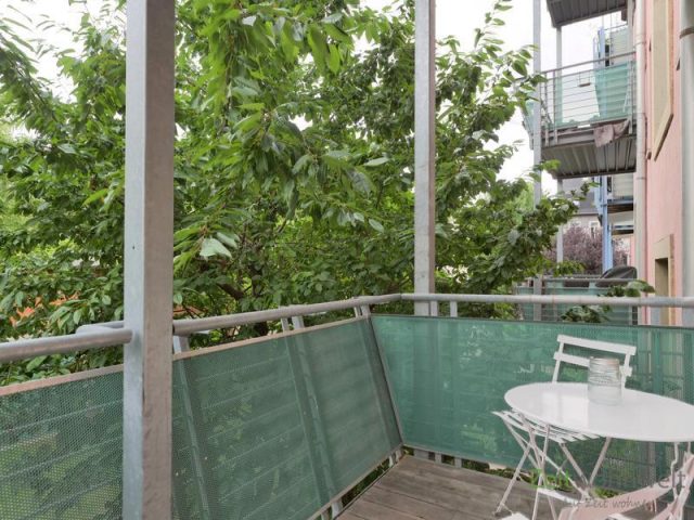 Kirschbaum direkt am Balkon