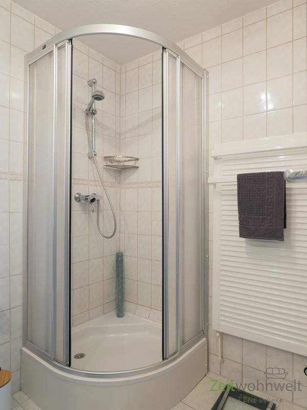 Dusche und Handtuchheizkörper