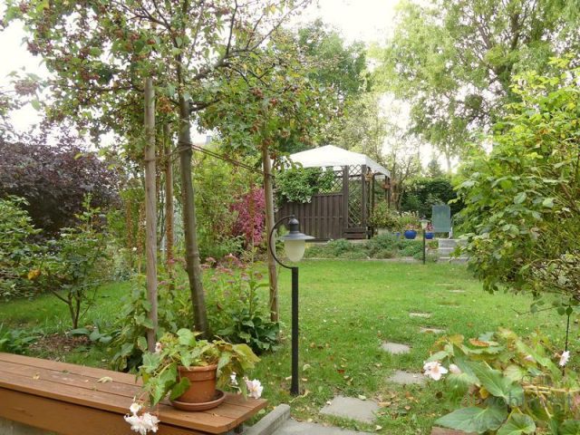 Blick in den Garten