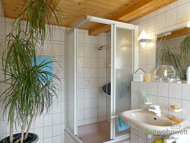 großes Bad mit Dusche