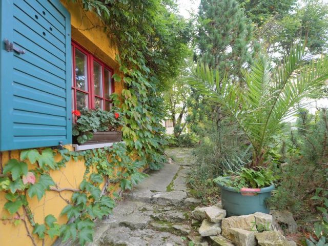 Blick zur Terrasse