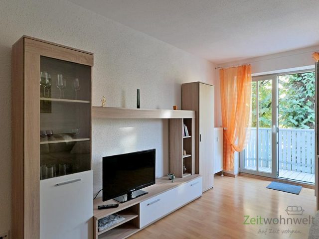 Schrankwand und TV