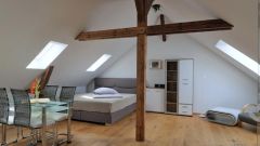 Pirna, Erstbezug in hübsches, neu möbliertes Apartment in der Pirnaer Innenstadt